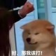 Happy_508285