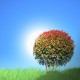 Happy_563036