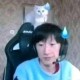 述迷棍哥