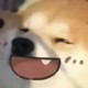 Happy_578224