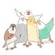 Happy_585202