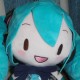 凉宫雨日