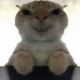 Happy_617546