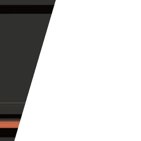 上初中的小肥鱼