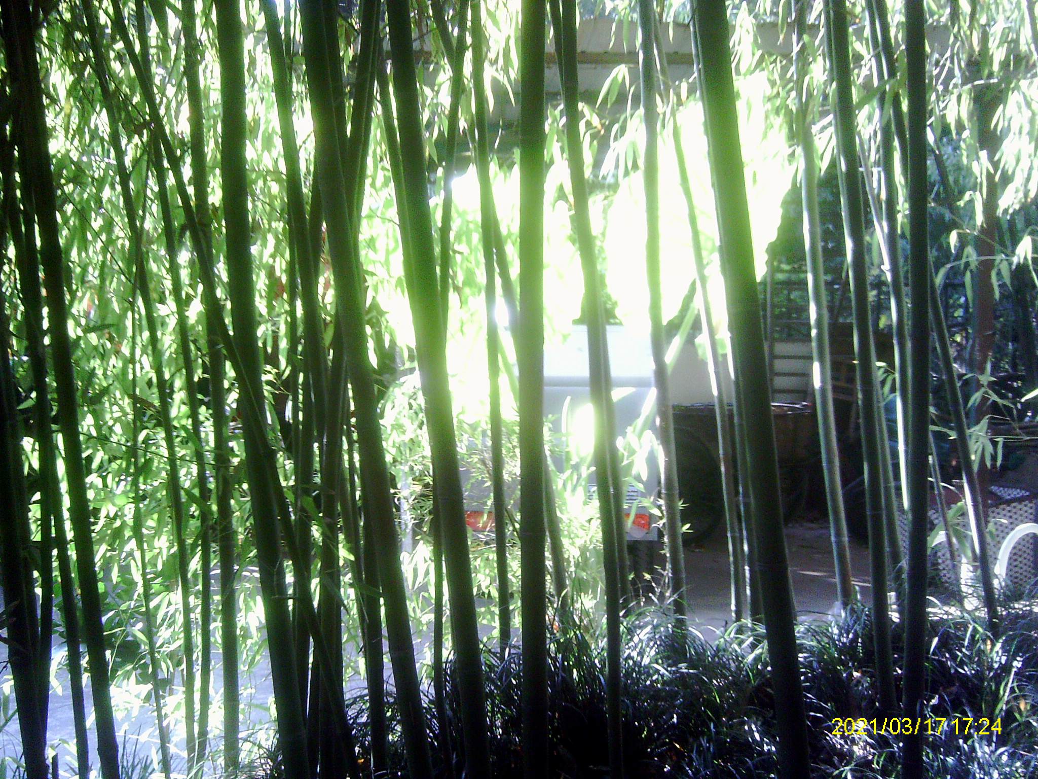 IMAG0026.JPG